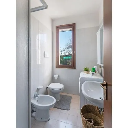 Rivo Point Comfortable